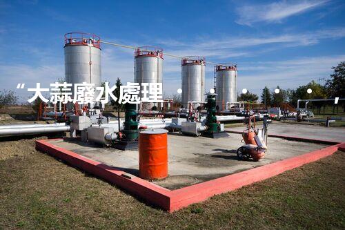 “大蒜廢水處理，綠色環(huán)保新篇章”